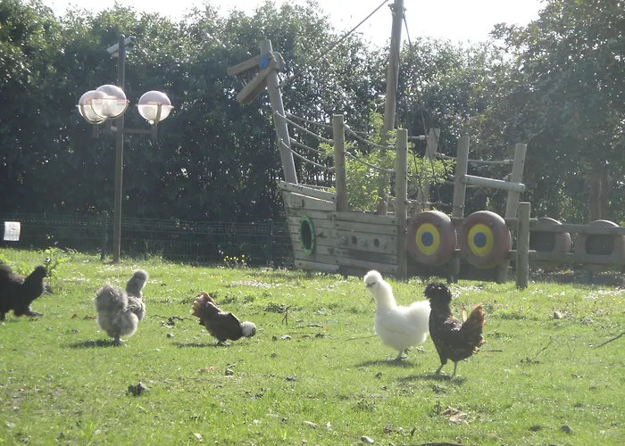 Amirauté Golf Deauville Touques